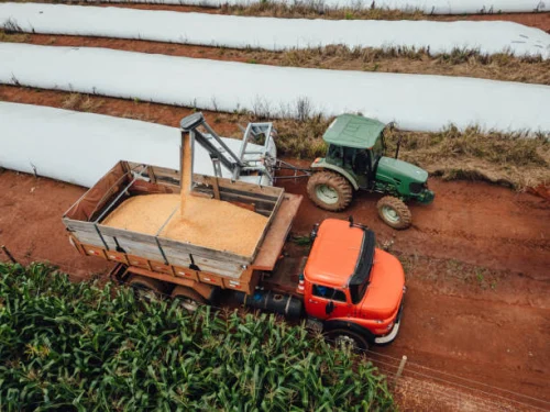 Imagem ilustrativa de Empresa de reforma de caçambas agrícolas